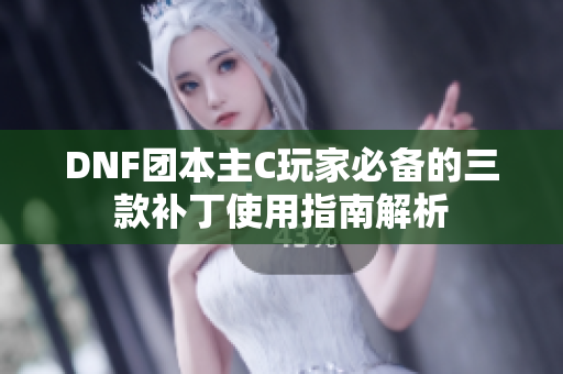 DNF团本主C玩家必备的三款补丁使用指南解析