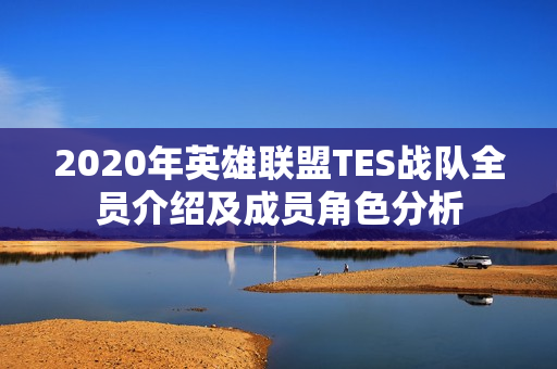 2020年英雄联盟TES战队全员介绍及成员角色分析