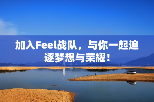 加入Feel战队，与你一起追逐梦想与荣耀！