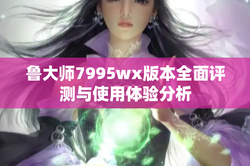 鲁大师7995wx版本全面评测与使用体验分析