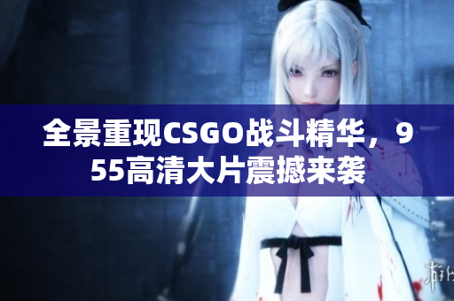 全景重现CSGO战斗精华，955高清大片震撼来袭