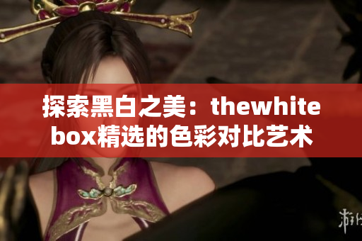 探索黑白之美：thewhitebox精选的色彩对比艺术