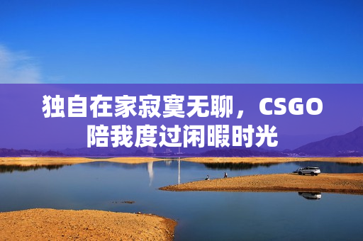 独自在家寂寞无聊，CSGO陪我度过闲暇时光