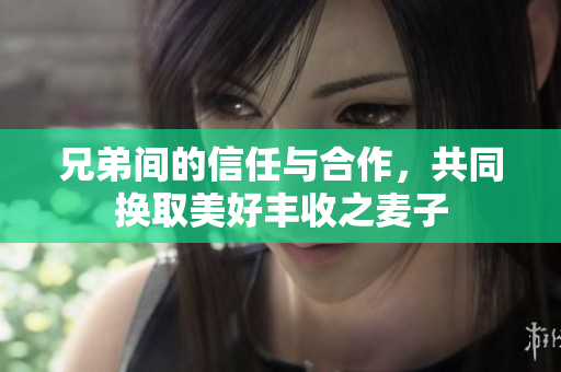 兄弟间的信任与合作，共同换取美好丰收之麦子