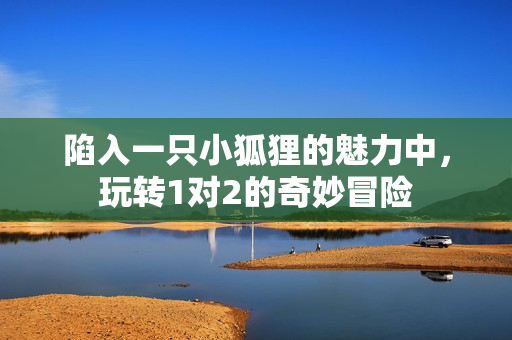 陷入一只小狐狸的魅力中，玩转1对2的奇妙冒险