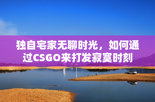 独自宅家无聊时光，如何通过CSGO来打发寂寞时刻