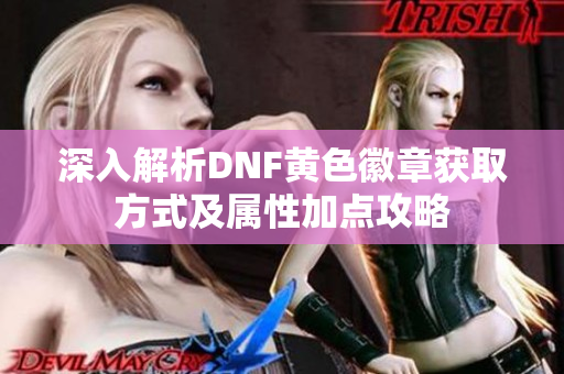 深入解析DNF黄色徽章获取方式及属性加点攻略
