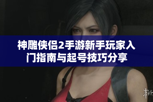 神雕侠侣2手游新手玩家入门指南与起号技巧分享