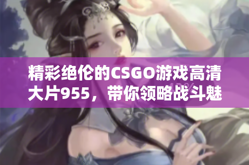 精彩绝伦的CSGO游戏高清大片955，带你领略战斗魅力