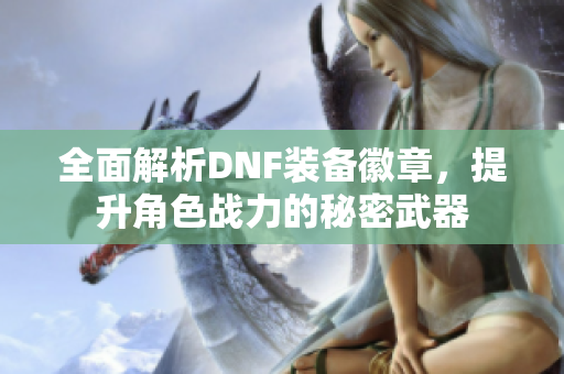 全面解析DNF装备徽章，提升角色战力的秘密武器