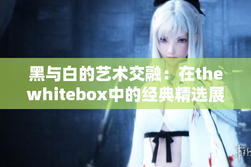 黑与白的艺术交融：在thewhitebox中的经典精选展览