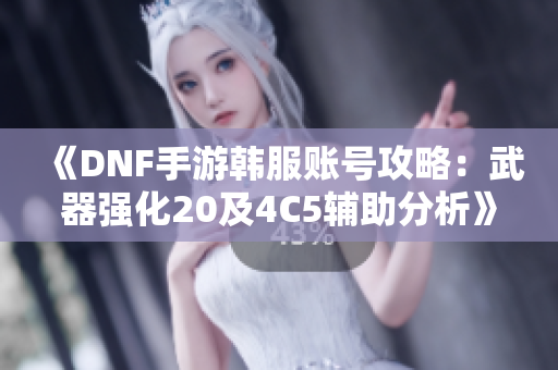 《DNF手游韩服账号攻略：武器强化20及4C5辅助分析》