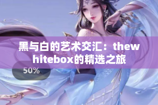 黑与白的艺术交汇：thewhitebox的精选之旅