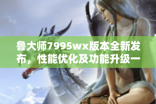 鲁大师7995wx版本全新发布，性能优化及功能升级一览