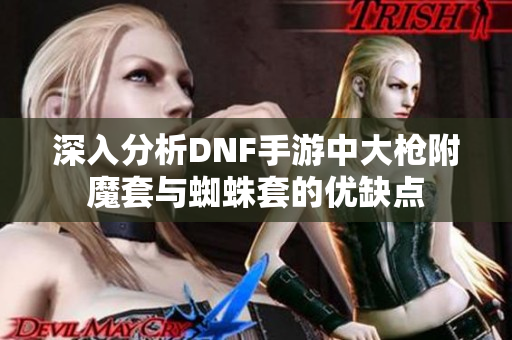 深入分析DNF手游中大枪附魔套与蜘蛛套的优缺点