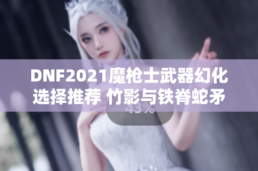 DNF2021魔枪士武器幻化选择推荐 竹影与铁脊蛇矛最为出色