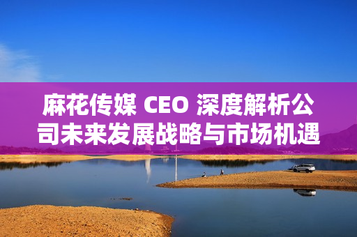 麻花传媒 CEO 深度解析公司未来发展战略与市场机遇