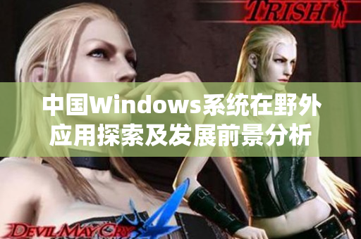 中国Windows系统在野外应用探索及发展前景分析