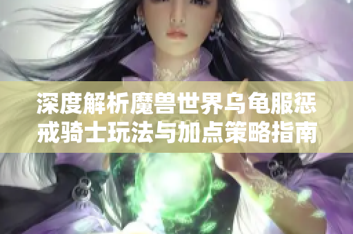 深度解析魔兽世界乌龟服惩戒骑士玩法与加点策略指南