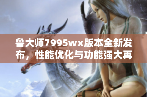 鲁大师7995wx版本全新发布，性能优化与功能强大再升级