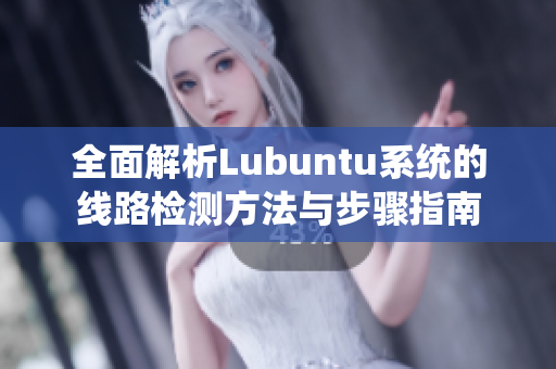 全面解析Lubuntu系统的线路检测方法与步骤指南