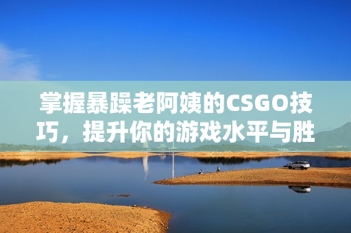 掌握暴躁老阿姨的CSGO技巧，提升你的游戏水平与胜率