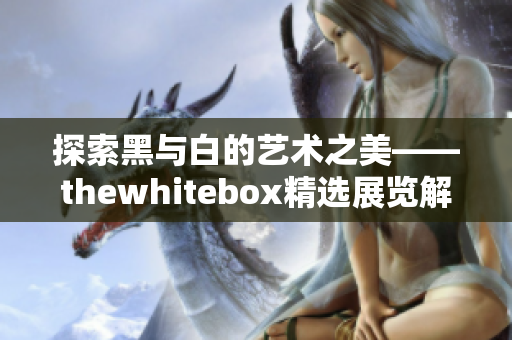 探索黑与白的艺术之美——thewhitebox精选展览解析