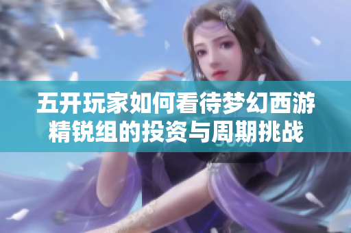 五开玩家如何看待梦幻西游精锐组的投资与周期挑战