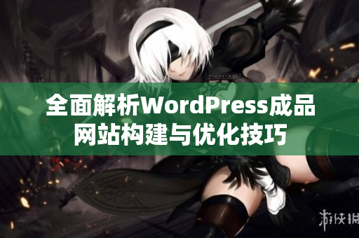 全面解析WordPress成品网站构建与优化技巧