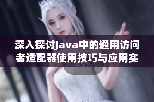 深入探讨Java中的通用访问者适配器使用技巧与应用实例