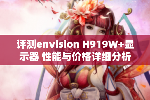 评测envision H919W+显示器 性能与价格详细分析