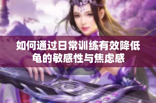 如何通过日常训练有效降低龟的敏感性与焦虑感