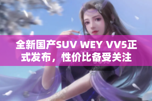 全新国产SUV WEY VV5正式发布，性价比备受关注