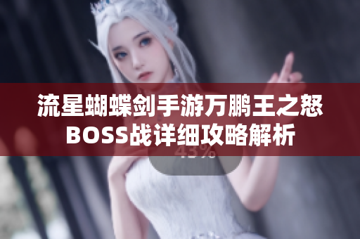 流星蝴蝶剑手游万鹏王之怒BOSS战详细攻略解析