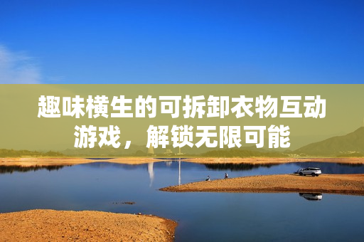 趣味横生的可拆卸衣物互动游戏，解锁无限可能