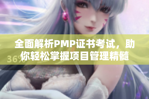 全面解析PMP证书考试，助你轻松掌握项目管理精髓