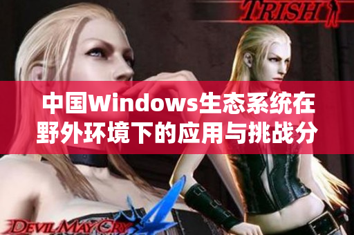 中国Windows生态系统在野外环境下的应用与挑战分析