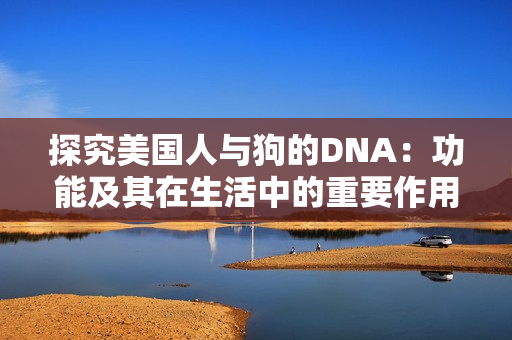 探究美国人与狗的DNA：功能及其在生活中的重要作用