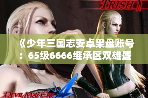 《少年三国志安卓果盘账号：65级6666继承区双雄盛宴》