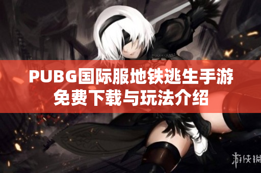 PUBG国际服地铁逃生手游免费下载与玩法介绍