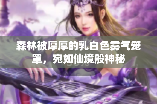 森林被厚厚的乳白色雾气笼罩，宛如仙境般神秘