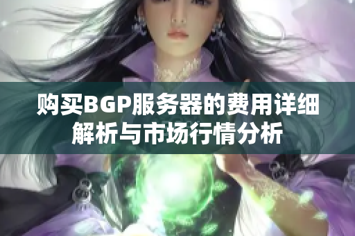 购买BGP服务器的费用详细解析与市场行情分析