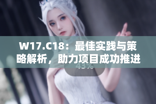 W17.C18：最佳实践与策略解析，助力项目成功推进