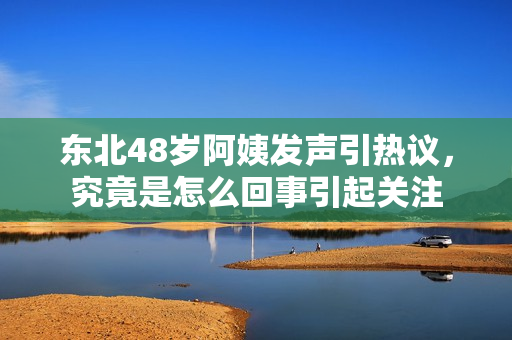 东北48岁阿姨发声引热议，究竟是怎么回事引起关注