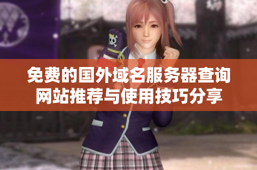 免费的国外域名服务器查询网站推荐与使用技巧分享
