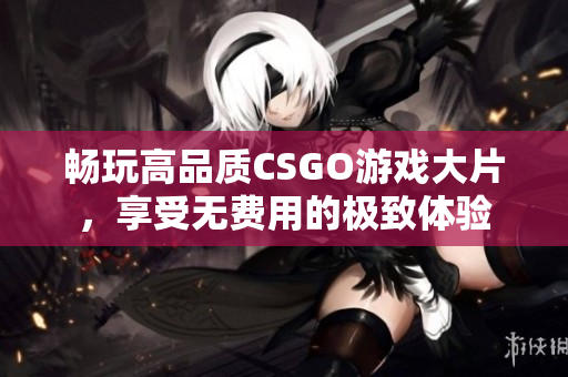 畅玩高品质CSGO游戏大片，享受无费用的极致体验