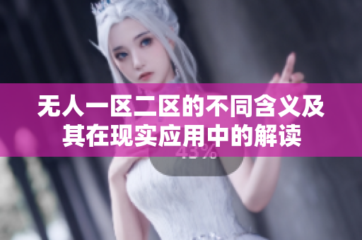 无人一区二区的不同含义及其在现实应用中的解读
