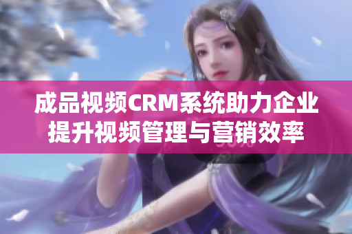 成品视频CRM系统助力企业提升视频管理与营销效率