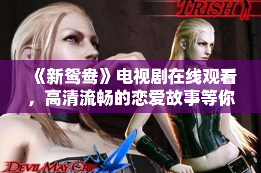 《新鸳鸯》电视剧在线观看，高清流畅的恋爱故事等你来欣赏