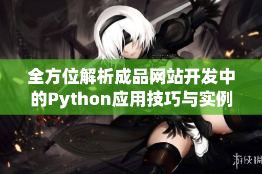 全方位解析成品网站开发中的Python应用技巧与实例分享
